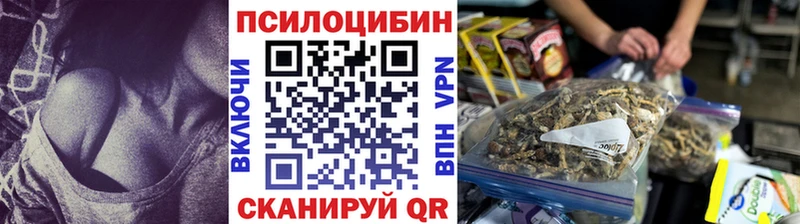 нарко площадка как зайти  Сусуман  Псилоцибиновые грибы ЛСД 