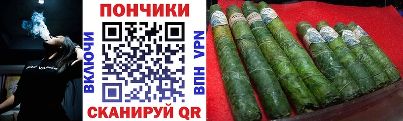 Канабис сатива  Сусуман 
